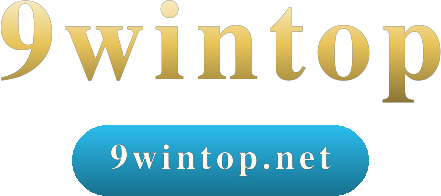 9wintop logo